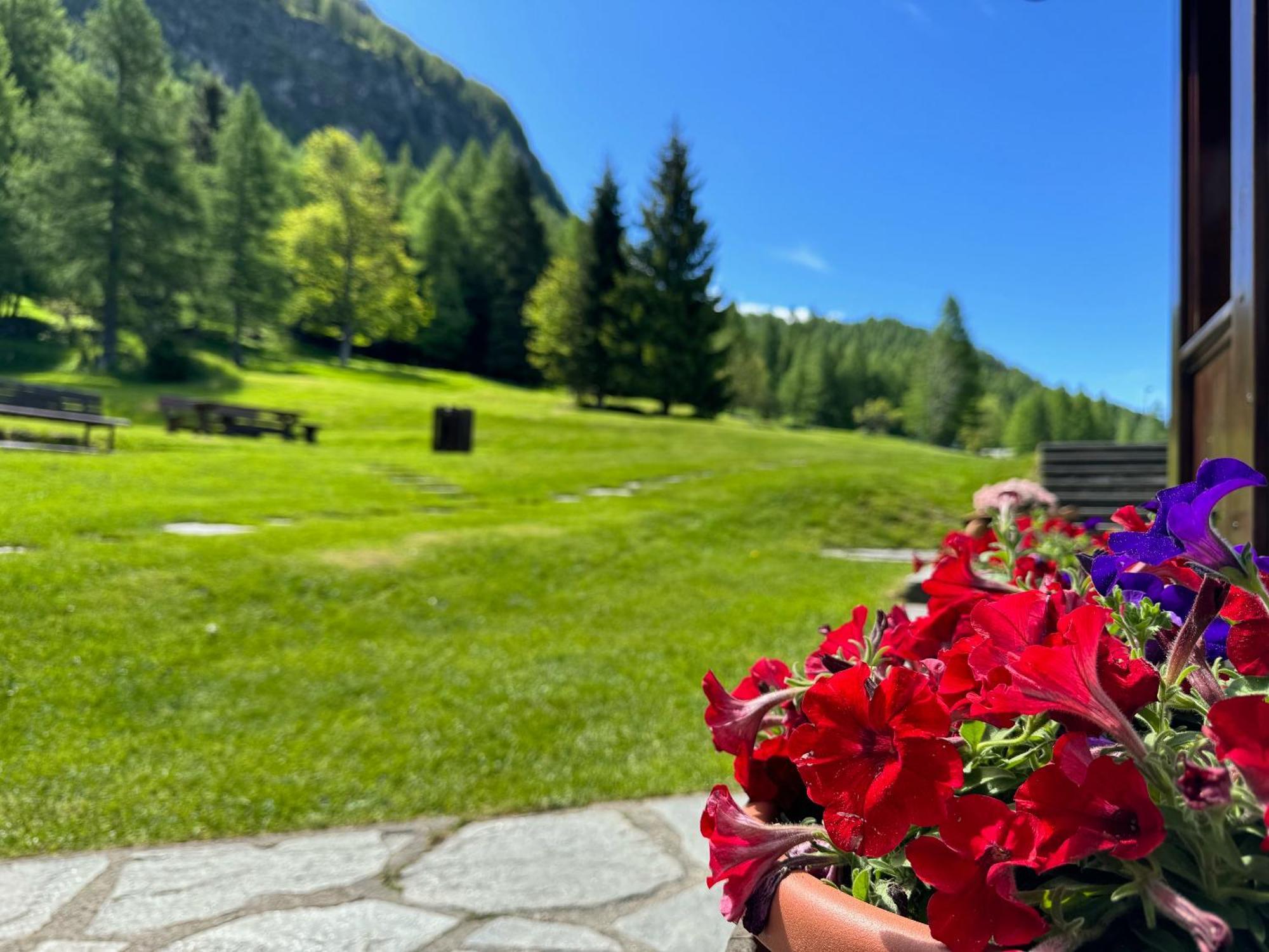 Hotel Miramonti Campodolcino Dış mekan fotoğraf